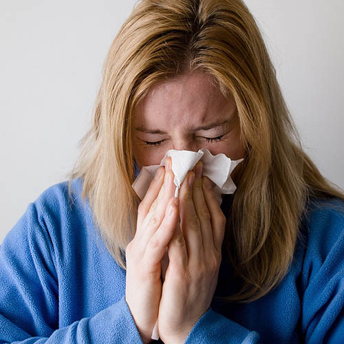 Vue interieure de la Pharmacie de Brunehaut